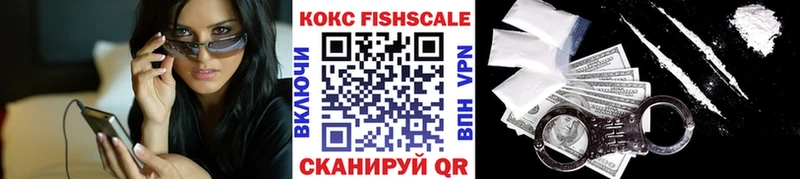 ссылка на мегу вход  купить наркоту  Омск  COCAIN Fish Scale 