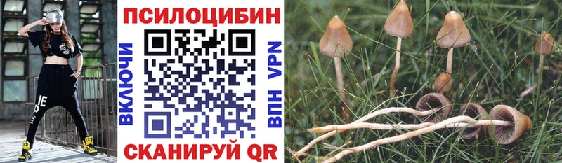 Галлюциногенные грибы Magic Shrooms  Омск 