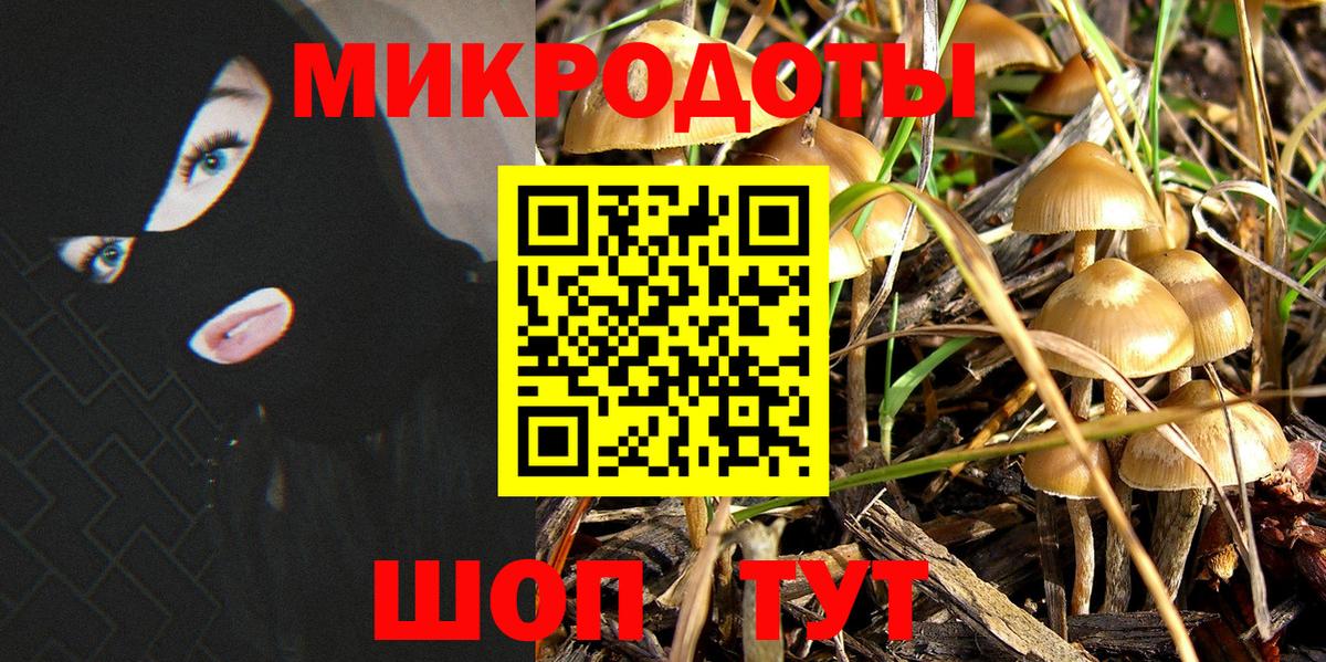 Галлюциногенные грибы Magic Shrooms Омск