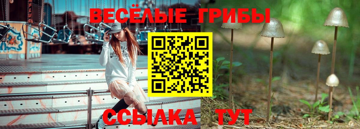 Омск  Галлюциногенные грибы Magic Shrooms  Вход с VPN 